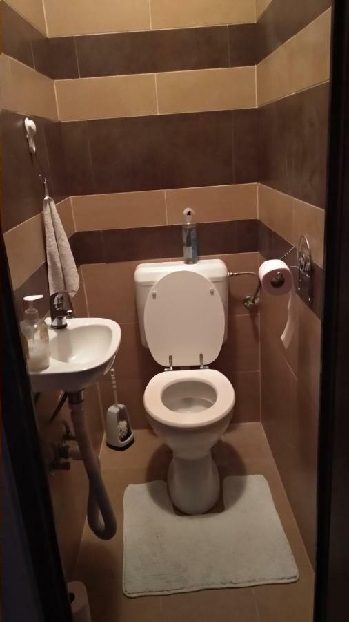Family Holiday Apartman Nyíregyháza المظهر الخارجي الصورة
